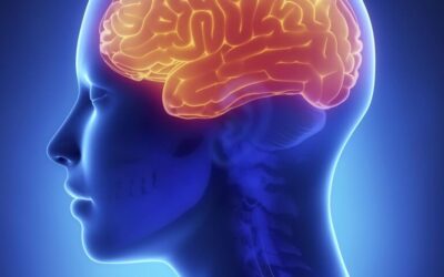 The Bruce Willis Story Brings Awareness to Frontotemporal Dementia